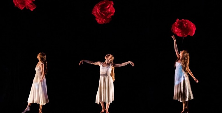 Momix presents new production, 'Alice'; Photo by Sharen Bradford