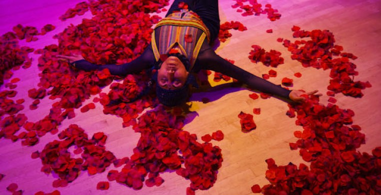 upside down picture of a person laying on top of rose petals with arms stretched out