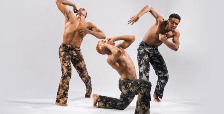 Deeply Rooted Dance Theater 20th Anniversary Season Performance
