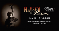 Flamenco Passion 2019