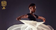 Eight dance organizations form CBDLP: Ayodele Drum & Dance, Chicago Multiculural Dance Company, Deeply Rooted Dance Theater, Forward Momentum Chicago, Joel Hall Dancers & Center, Muntu Dance Theatre of Chicago, Najwa Dance Corp and Red Clay Dance Company